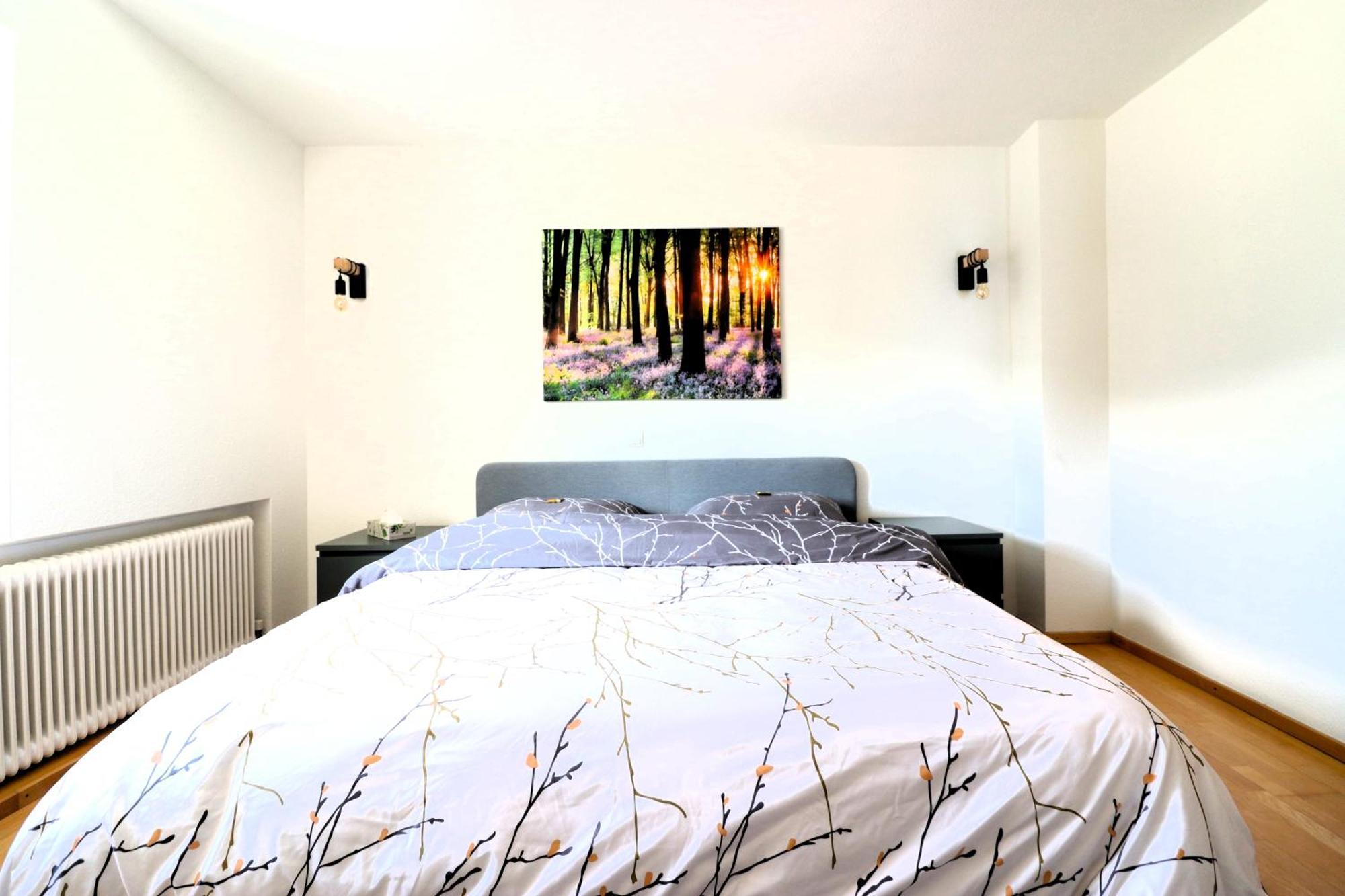 Montfort Apartments - Фелдкирх Стая снимка